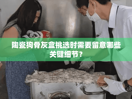 陶瓷狗骨灰盒挑选时需要留意哪些关键细节？