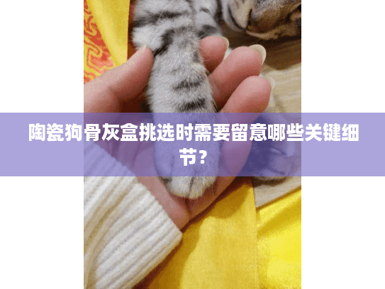 陶瓷狗骨灰盒挑选时需要留意哪些关键细节？