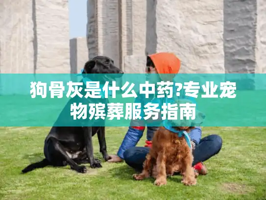 狗骨灰是什么中药?专业宠物殡葬服务指南