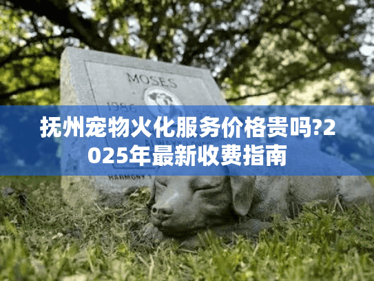 抚州宠物火化服务价格贵吗?2025年最新收费指南