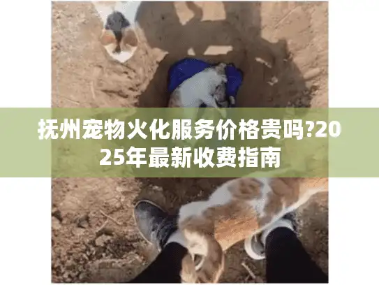 抚州宠物火化服务价格贵吗?2025年最新收费指南