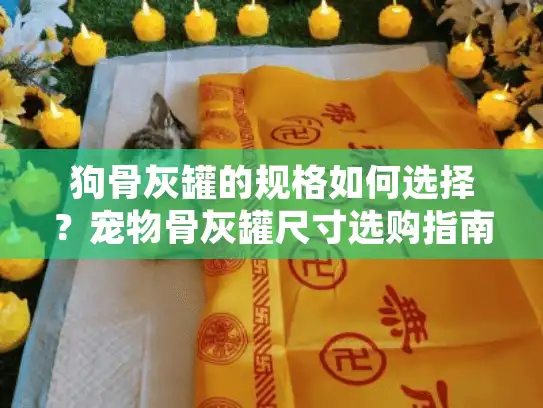 狗骨灰罐的规格如何选择？宠物骨灰罐尺寸选购指南解答