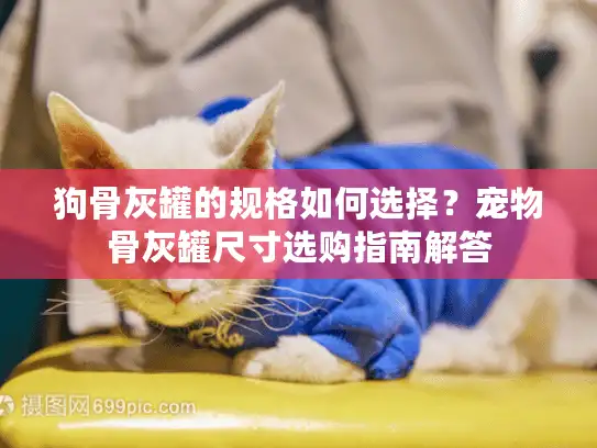 狗骨灰罐的规格如何选择？宠物骨灰罐尺寸选购指南解答