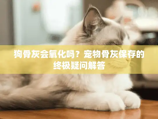 狗骨灰会氧化吗？宠物骨灰保存的终极疑问解答