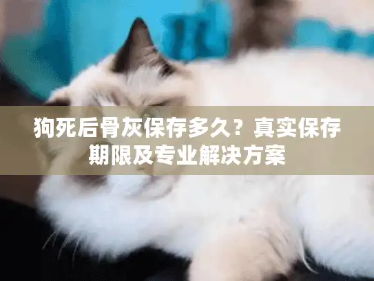 狗死后骨灰保存多久？真实保存期限及专业解决方案