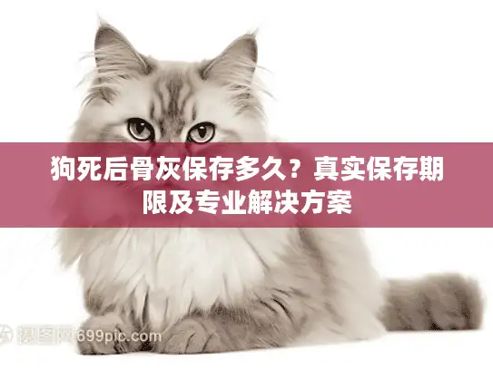 狗死后骨灰保存多久？真实保存期限及专业解决方案
