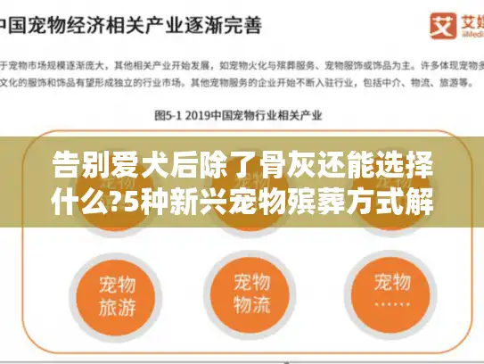 告别爱犬后除了骨灰还能选择什么?5种新兴宠物殡葬方式解析