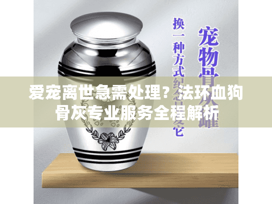 爱宠离世急需处理？法环血狗骨灰专业服务全程解析