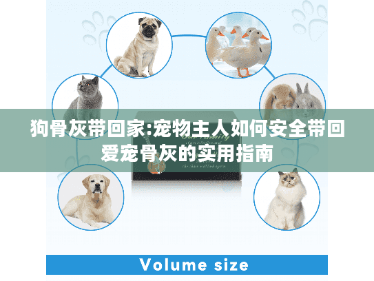 狗骨灰带回家:宠物主人如何安全带回爱宠骨灰的实用指南