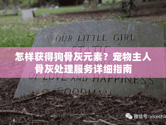 怎样获得狗骨灰元素?宠物主人骨灰处理服务详细指南 怎样获得狗骨灰元素?宠物主人骨灰处理服务详细指南