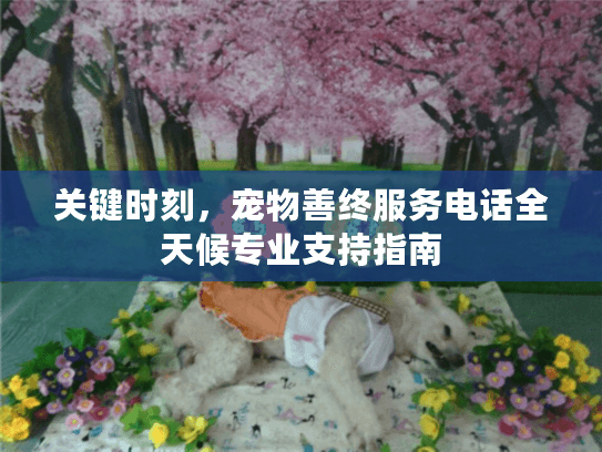关键时刻，宠物善终服务电话全天候专业支持指南