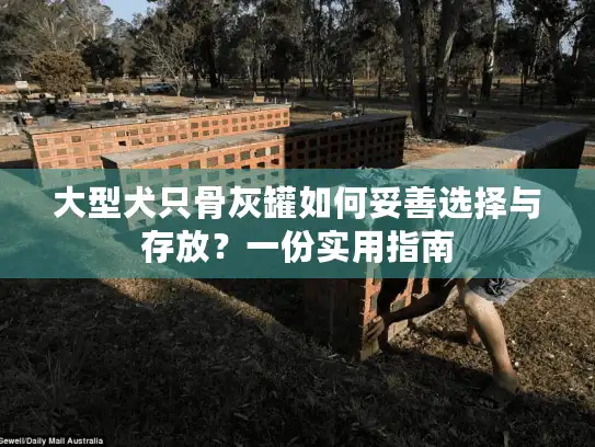 大型犬只骨灰罐如何妥善选择与存放？一份实用指南
