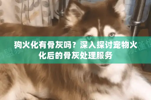 狗火化有骨灰吗?深入探讨宠物火化后的骨灰处理服务 狗火化有骨灰吗?深入探讨宠物火化后的骨灰处理服务