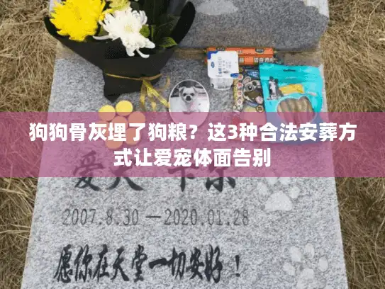 狗狗骨灰埋了狗粮？这3种合法安葬方式让爱宠体面告别