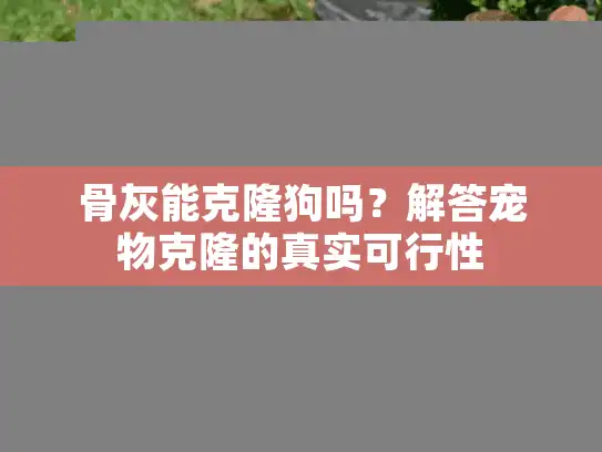 骨灰能克隆狗吗？解答宠物克隆的真实可行性