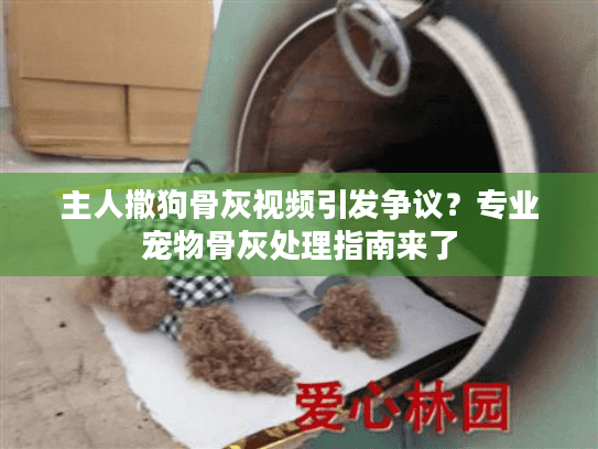 主人撒狗骨灰视频引发争议?专业宠物骨灰处理指南来了 主人撒狗骨灰视频引发争议?专业宠物骨灰处理指南来了