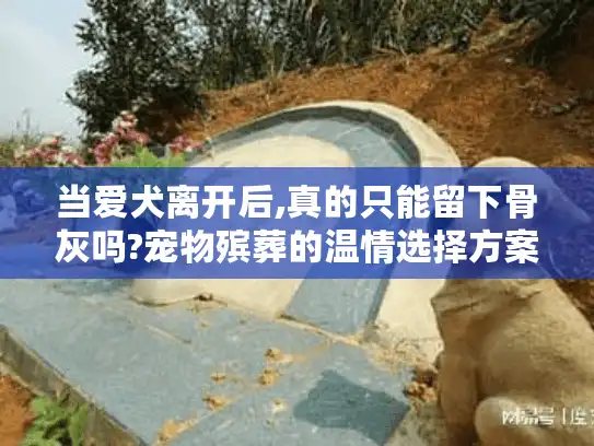 当爱犬离开后,真的只能留下骨灰吗?宠物殡葬的温情选择方案