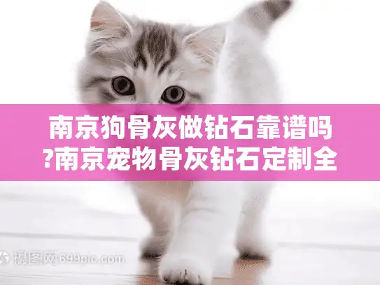 南京狗骨灰做钻石靠谱吗?南京宠物骨灰钻石定制全解析