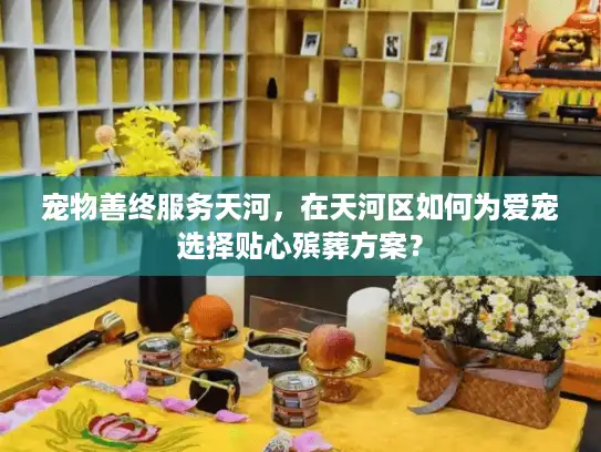 宠物善终服务天河，在天河区如何为爱宠选择贴心殡葬方案？
