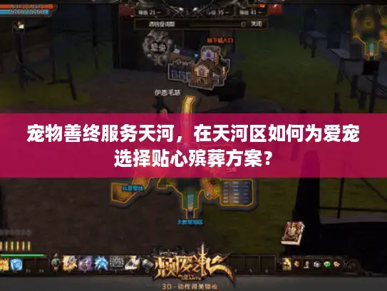 宠物善终服务天河，在天河区如何为爱宠选择贴心殡葬方案？