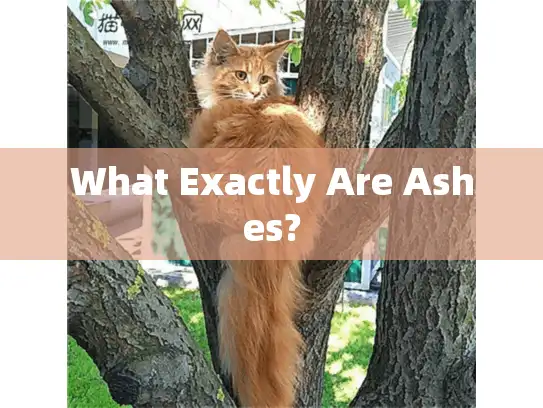 What Exactly Are Ashes? What Exactly Are Ashes?