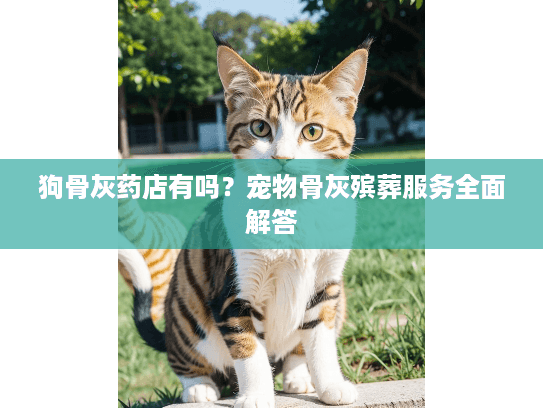 狗骨灰药店有吗?宠物骨灰殡葬服务全面解答 狗骨灰药店有吗?宠物骨灰殡葬服务全面解答