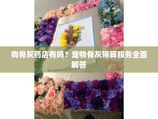 狗骨灰药店有吗?宠物骨灰殡葬服务全面解答 狗骨灰药店有吗?宠物骨灰殡葬服务全面解答