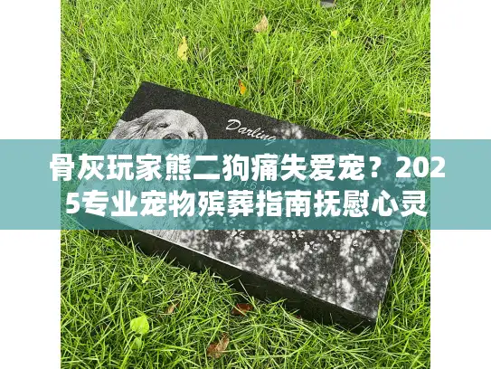 骨灰玩家熊二狗痛失爱宠？2025专业宠物殡葬指南抚慰心灵