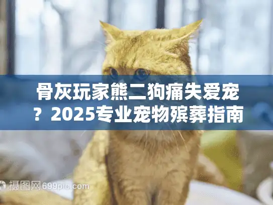 骨灰玩家熊二狗痛失爱宠？2025专业宠物殡葬指南抚慰心灵