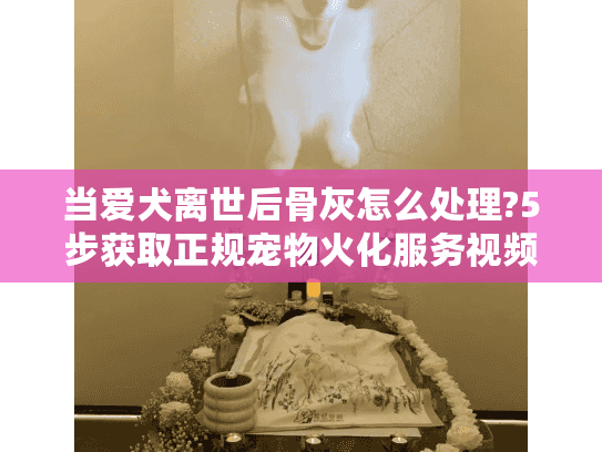 当爱犬离世后骨灰怎么处理?5步获取正规宠物火化服务视频指南