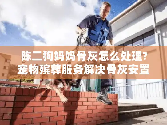 陈二狗妈妈骨灰怎么处理?宠物殡葬服务解决骨灰安置难题