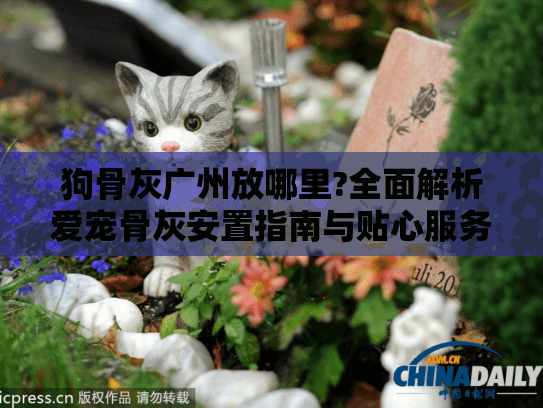 狗骨灰广州放哪里?全面解析爱宠骨灰安置指南与贴心服务