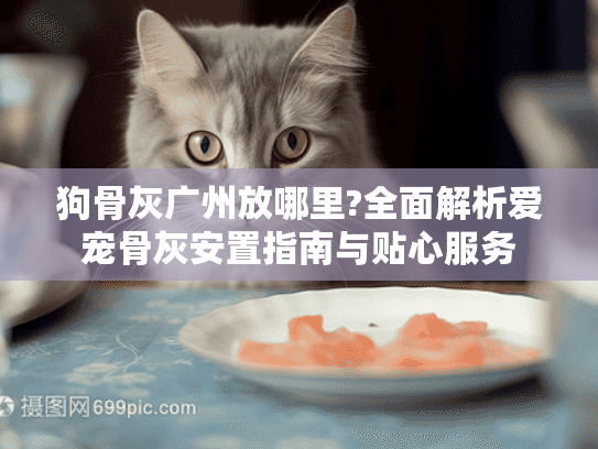 狗骨灰广州放哪里?全面解析爱宠骨灰安置指南与贴心服务