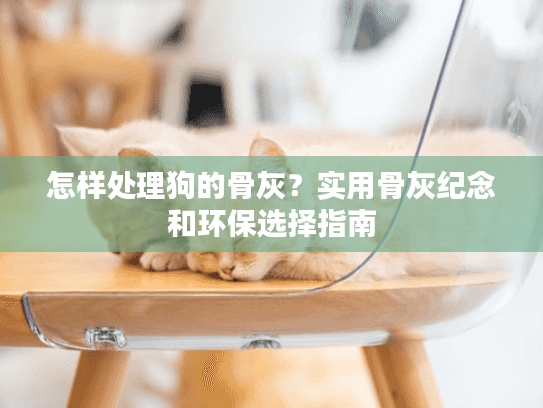 怎样处理狗的骨灰？实用骨灰纪念和环保选择指南