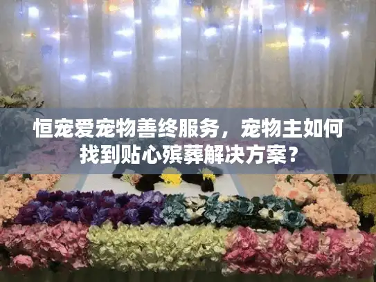 恒宠爱宠物善终服务，宠物主如何找到贴心殡葬解决方案？