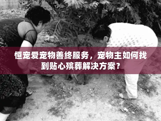 恒宠爱宠物善终服务，宠物主如何找到贴心殡葬解决方案？