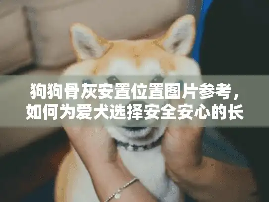 狗狗骨灰安置位置图片参考，如何为爱犬选择安全安心的长眠之所？