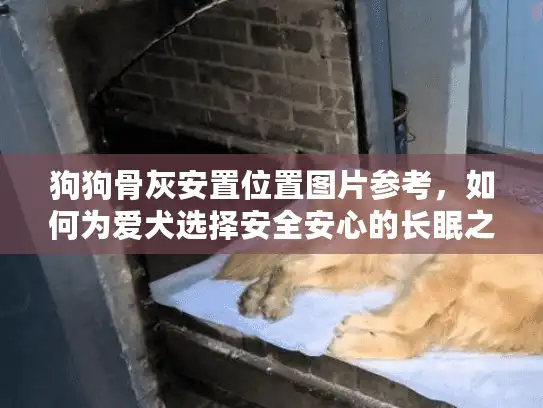 狗狗骨灰安置位置图片参考，如何为爱犬选择安全安心的长眠之所？