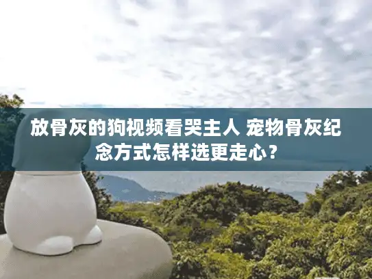 放骨灰的狗视频看哭主人 宠物骨灰纪念方式怎样选更走心？