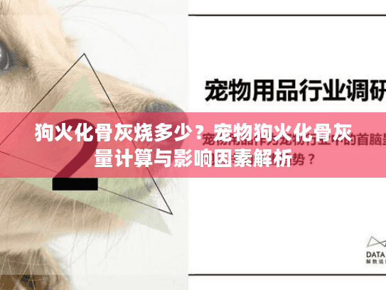 狗火化骨灰烧多少？宠物狗火化骨灰量计算与影响因素解析