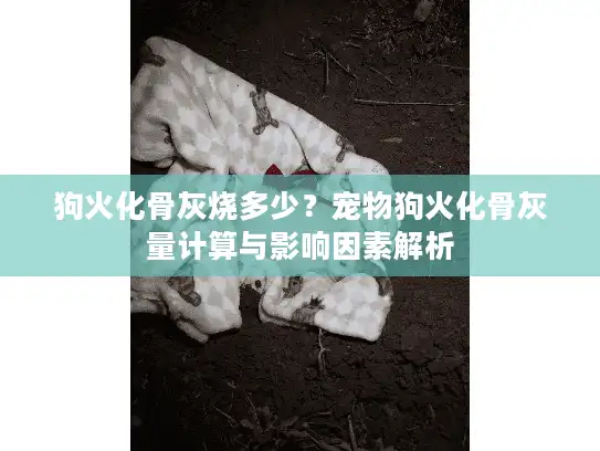 狗火化骨灰烧多少？宠物狗火化骨灰量计算与影响因素解析