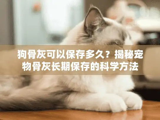狗骨灰可以保存多久？揭秘宠物骨灰长期保存的科学方法