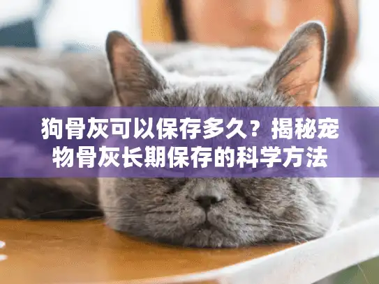 狗骨灰可以保存多久？揭秘宠物骨灰长期保存的科学方法