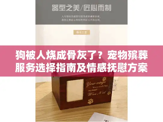狗被人烧成骨灰了?宠物殡葬服务选择指南及情感抚慰方案 狗被人烧成骨灰了?宠物殡葬服务选择指南及情感抚慰方案