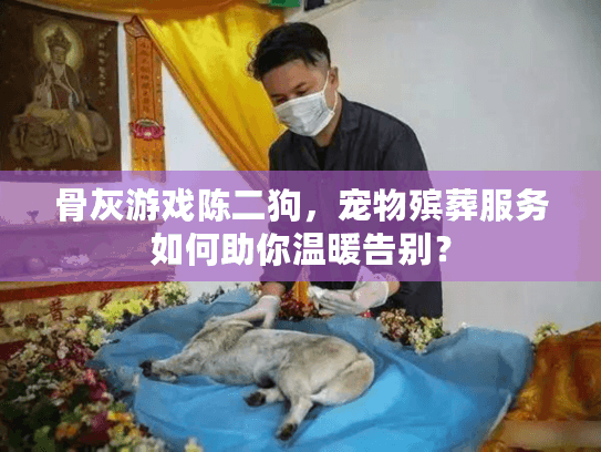 骨灰游戏陈二狗，宠物殡葬服务如何助你温暖告别？