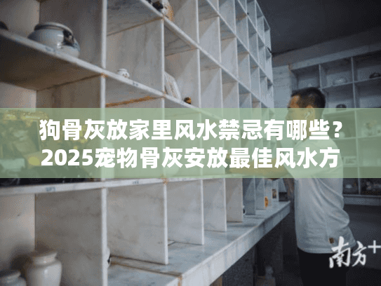 狗骨灰放家里风水禁忌有哪些？2025宠物骨灰安放最佳风水方案解析