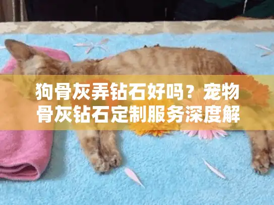 狗骨灰弄钻石好吗?宠物骨灰钻石定制服务深度解析 狗骨灰弄钻石好吗?宠物骨灰钻石定制服务深度解析