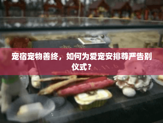宠宿宠物善终，如何为爱宠安排尊严告别仪式？