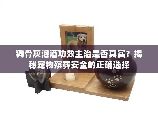 狗骨灰泡酒功效主治是否真实？揭秘宠物殡葬安全的正确选择
