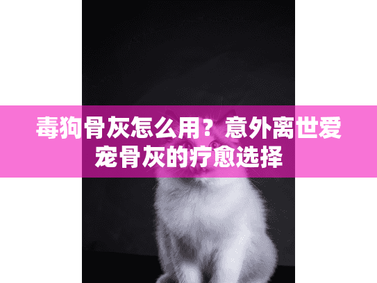 毒狗骨灰怎么用?意外离世爱宠骨灰的疗愈选择 毒狗骨灰怎么用?意外离世爱宠骨灰的疗愈选择